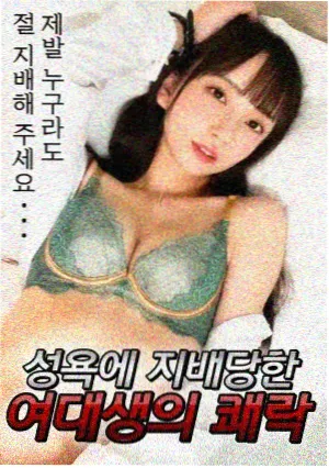 高分电视剧 免费观看