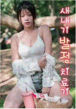 去有风的地方 推荐
